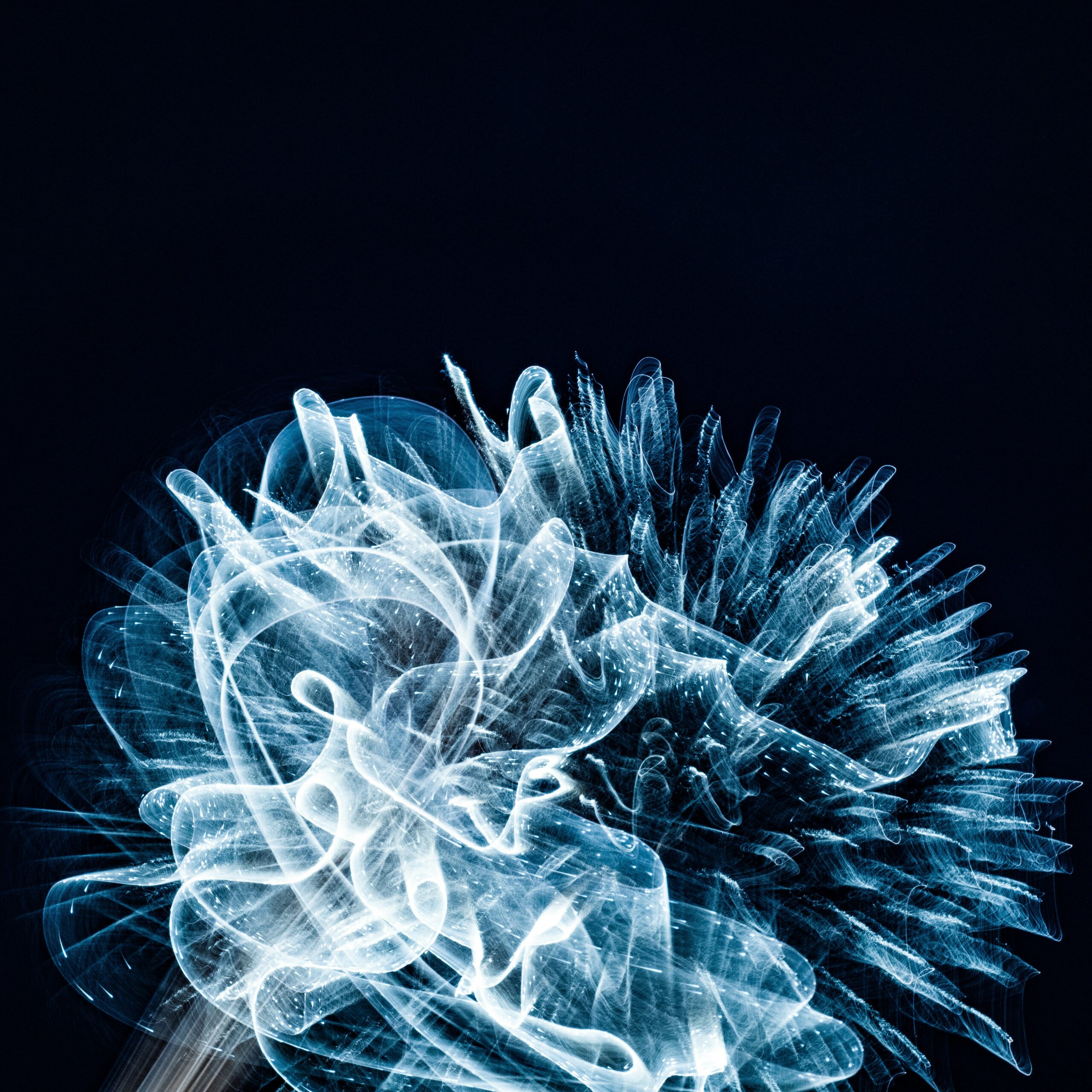 Biohacking Your Fitness and Resilience: Dominando la fuerza de voluntad a través del aMCC